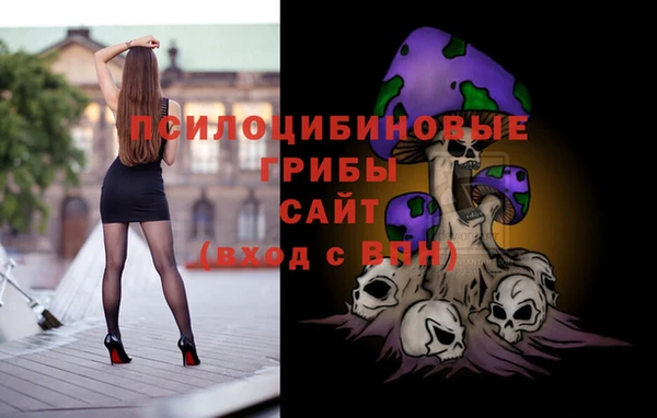 соль ск Арсеньев