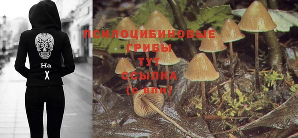 соль ск Арсеньев