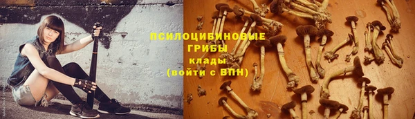 соль ск Арсеньев