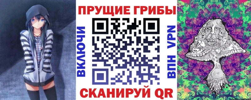 Псилоцибиновые грибы ЛСД  наркотики  Черкесск 